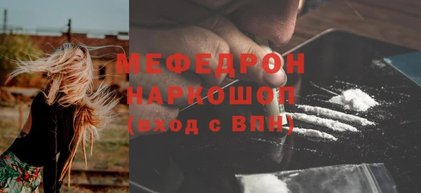 сатива Бородино