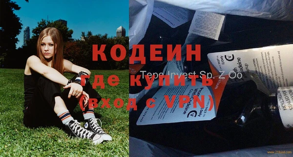 сатива Бородино