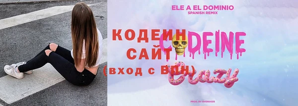сатива Бородино