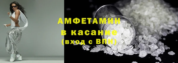 сатива Бородино