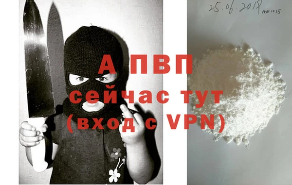 сатива Бородино